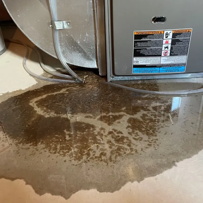 Pipe Burst and Leak Restoration in Glen Ellyn, IL