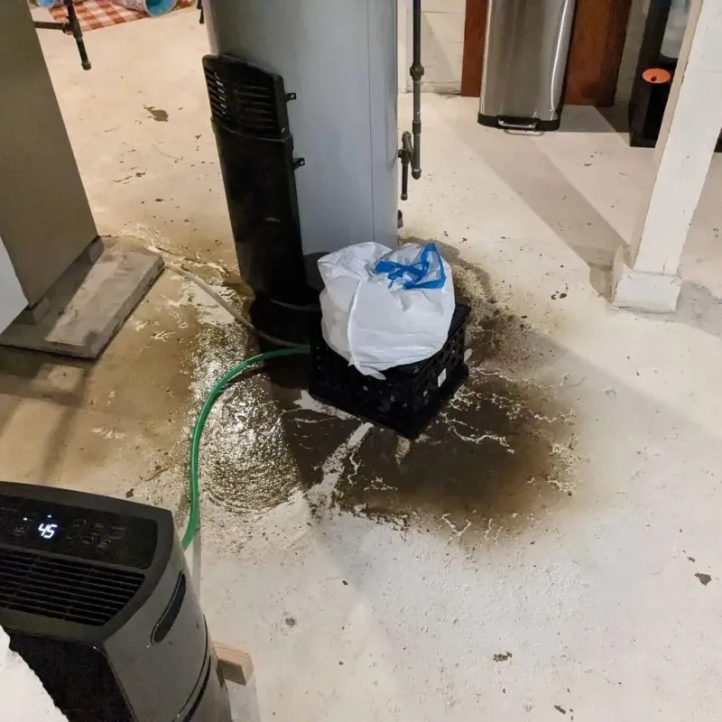 Sewage Backup Cleanup Service in Glen Ellyn, IL